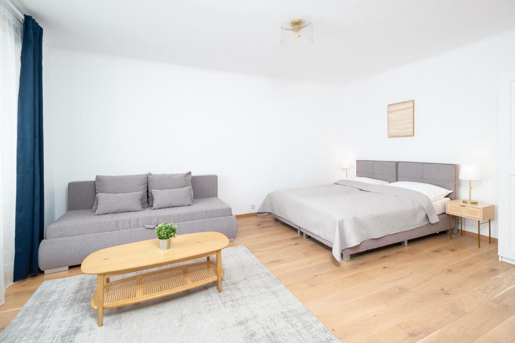 Apartment Ballgasse 维也纳 外观 照片
